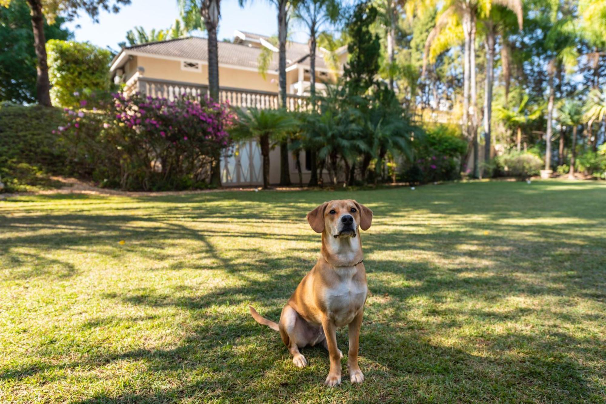 Fazenda Vila Real - Grande E Charmosa Casa De Campo อิตู ภายนอก รูปภาพ