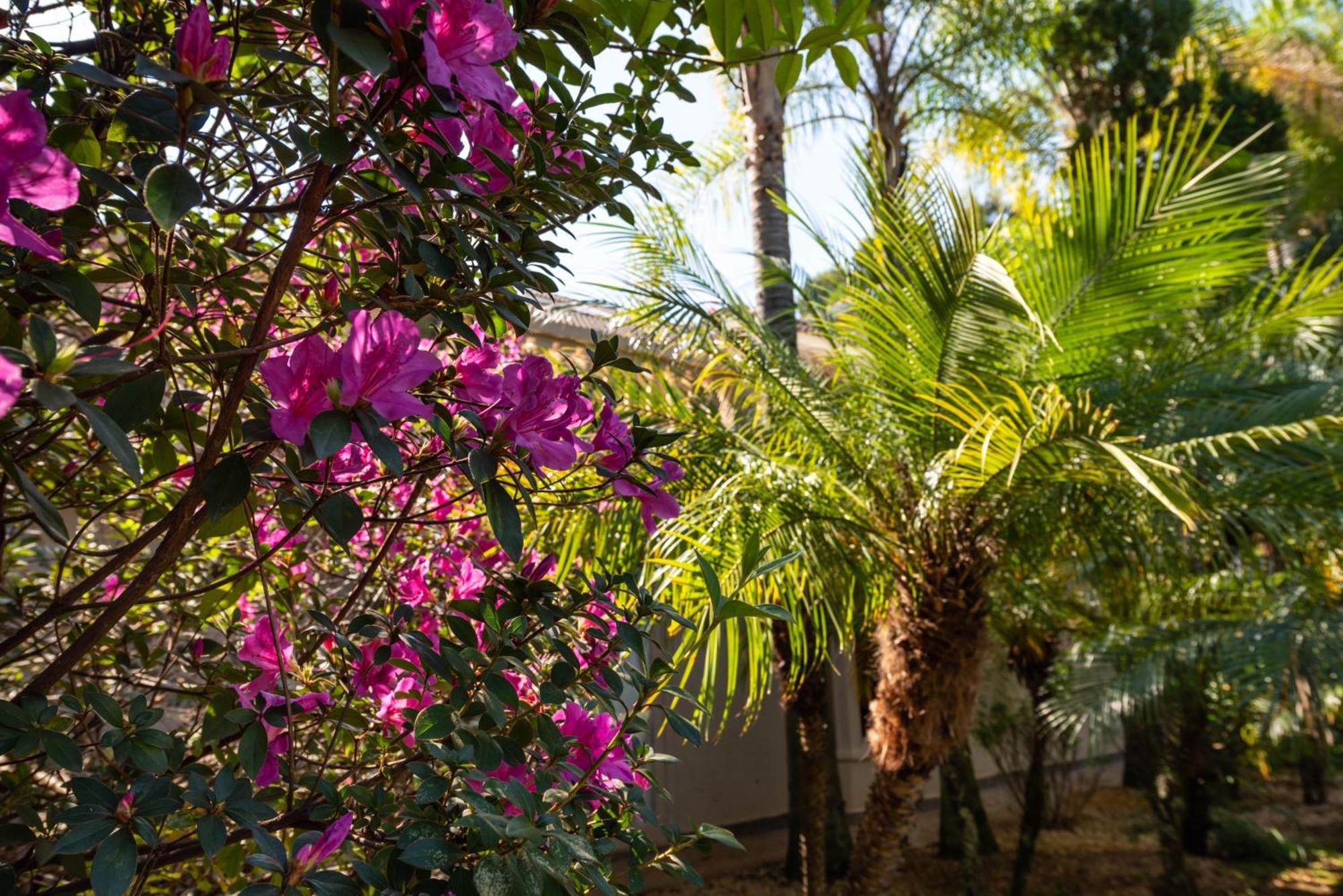 Fazenda Vila Real - Grande E Charmosa Casa De Campo อิตู ภายนอก รูปภาพ